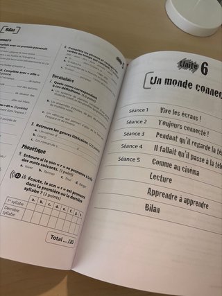 Merci ! méthode de Français : cahier d'activité