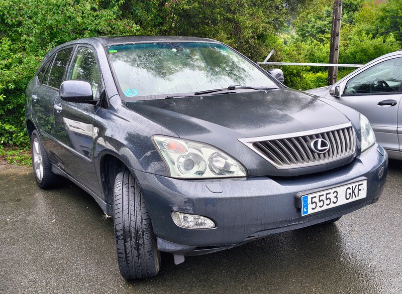 Lexus RX 2009 - foto 1