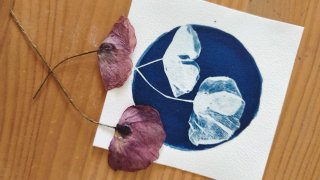 Lámina floral azul y blanca