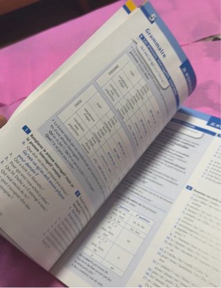 Libro de francés nivel b1 (+ dos DVD)