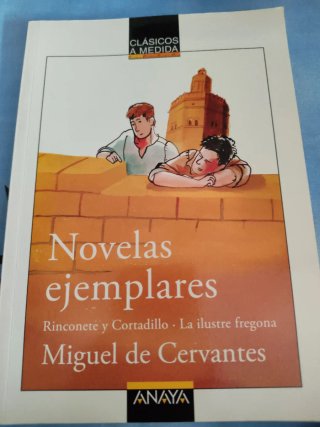 Novelas ejemplares