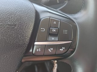 FORD CUSTOM 2.0 TREND 320 FURGON LARGO L2H1