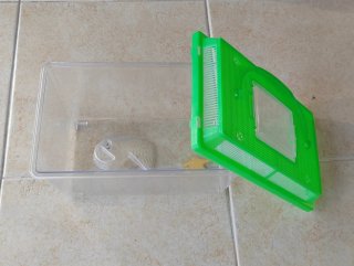 Mini terrarios/acuarios