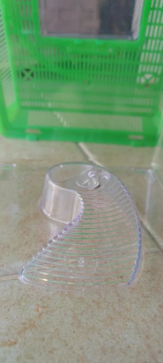 Mini terrarios/acuarios