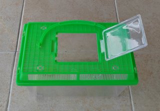 Mini terrarios/acuarios
