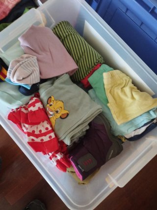 Lote Ropa Infantil 2-4 Años