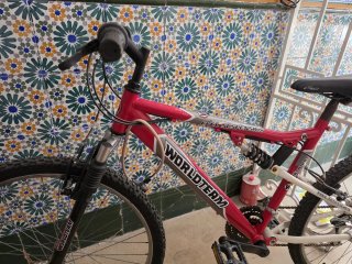 Bicicleta MTB World Team Full Suspension