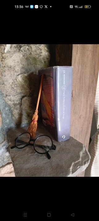 Harry Potter y el cáliz de fuego