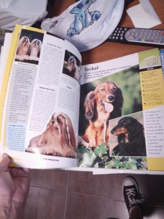 Archivador de fichas razas de perros