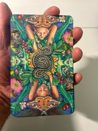 Tarot Everyday Enchantment - Poppy Palin