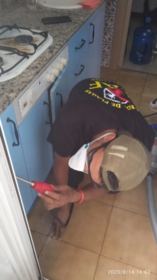 EAF CONTROL DE PLAGAS