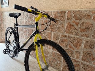 Bicicleta de Montaña