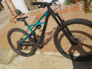 Bicicleta Specialized Enduro Descenso