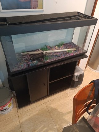 Acuario 140cm con mueble y accesorios