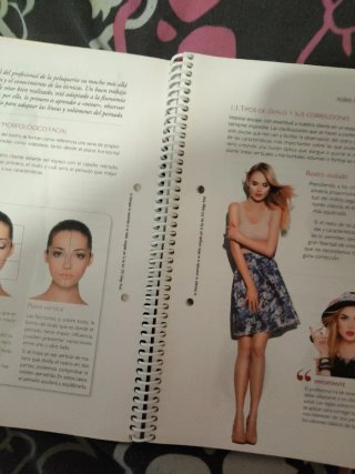 Libro de taller, Peinados y Recogidos