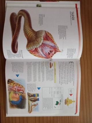 Libro de serpientes y reptiles