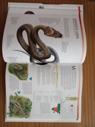 Libro de serpientes y reptiles