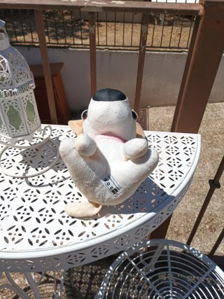 Peluche perro blanco