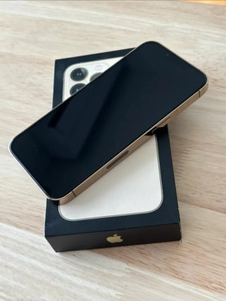 iPhone 13 Pro Max 256GB 100% Salud