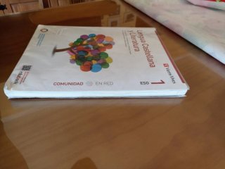 LENGUA CASTELLANA Y LITERATURA 1 COMBINADO (CER)