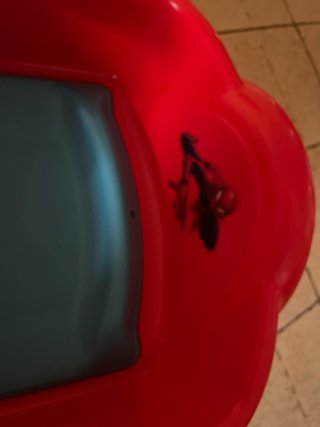 Coche Spiderman Rojo URGE VENTA