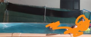 Calentador Solar Piscina Negro