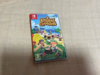 Animal Crossing New Horizons Nintendo Switch