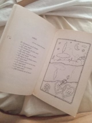 Mi primer libro de poemas