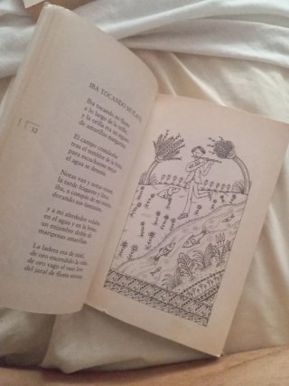 Mi primer libro de poemas