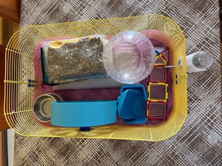 Jaula Hámster con Accesorios