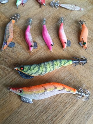 Lote 13 poteras pesca