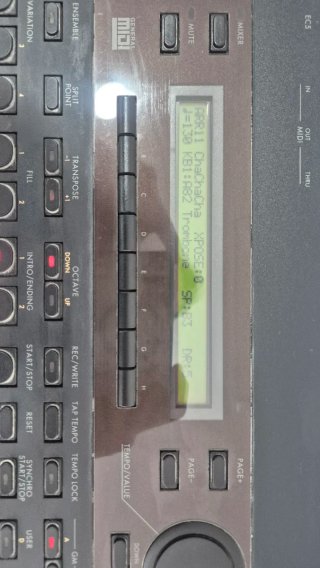 Korg IS40 Teclado 61 Teclas