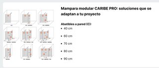 Puerta ducha abatible 50cm Caribe Pro Negro