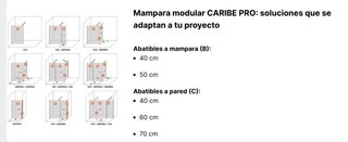 Puerta ducha abatible 50cm Caribe Pro Negro