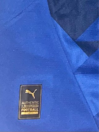 Camiseta Al Hilal Puma Azul Talla M