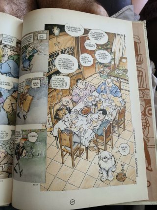 Cómic "La família Rovelló"