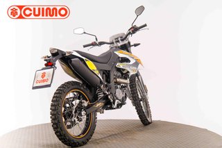 UM DSR 125