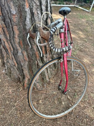 Bicicleta Orbea Sierra Nevada