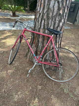 Bicicleta Orbea Sierra Nevada