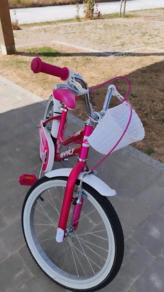 Bicicleta Infantil E-Pro 20 Rosa