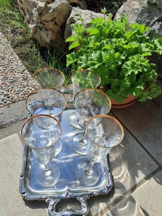 Set 6 Bicchieri Vintage Bordo Oro