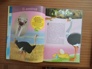 Libros de animales