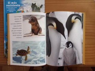Libros de animales