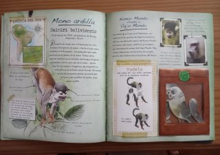 Libros de animales
