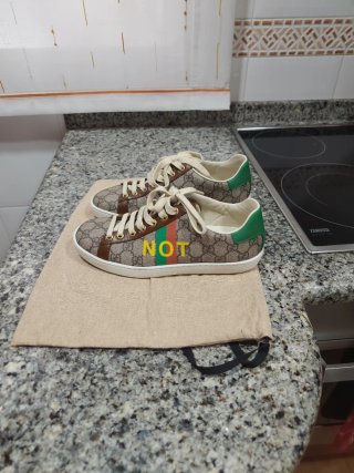 Zapatillas Gucci Edición Especial