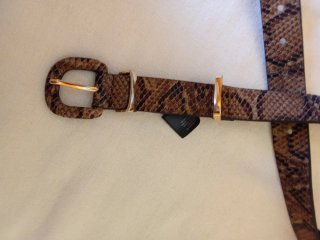Cinturón piel serpiente hebilla dorada