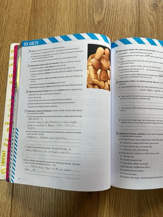 Euskara eta Literatura Batxilergoa 2