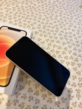 iPhone 12 con accessori