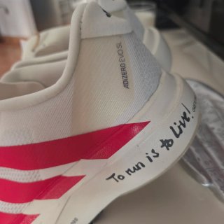 Adidas Adizero EVO SL W Zapatillas Running Mujer