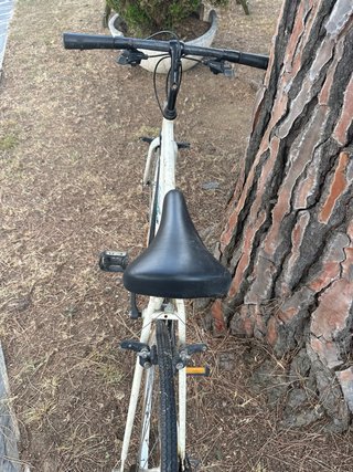 Bicicleta Orbea Vintage